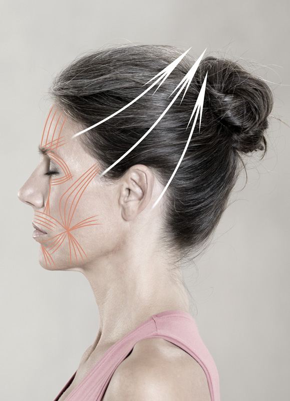 CANTIENICA®-Faceforming - Faceforming mit Tigerfeeling für sie und ihn, Benita Cantieni, 2014, Südwest Verlag, ISBN 978-3-517-08982-9